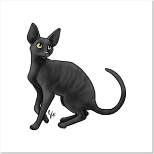 Cat - Cornish Rex - Black Posters and Art